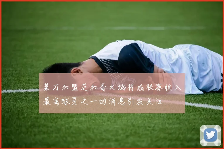 莱万加盟芝加哥火焰将成联赛收入最高球员之一的消息引发关注